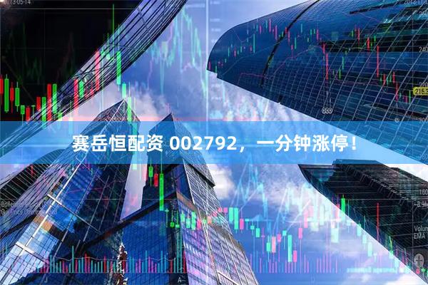赛岳恒配资 002792，一分钟涨停！